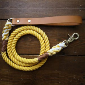 Yellow Dog Rope Lead