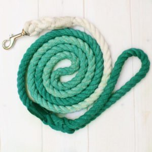 Ombre Green Dog Rope Leash