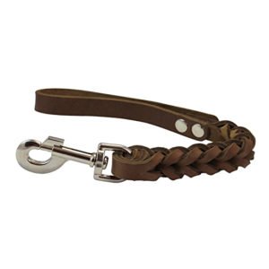 Leather Braided Short Dog Leash