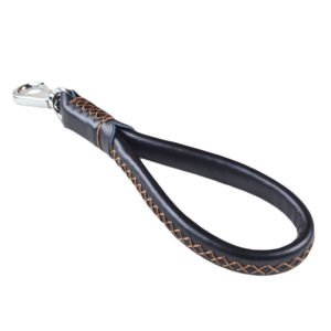 Leather Unique Dog Leash