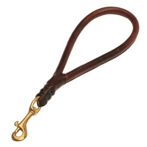 Pure Leather Brown Short Dog Leash