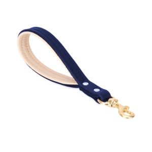 Padded Blue Short Dog Leash