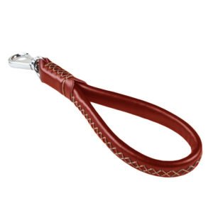 Short Leash for Dog Training