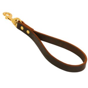 Brown Leather Dog Short Leash