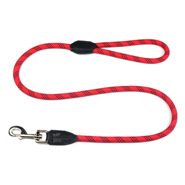 Nylon Red Designer Dog Leash