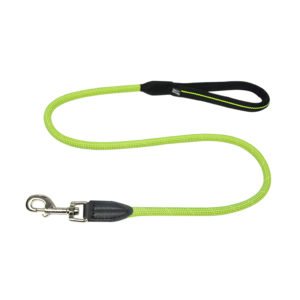 Heavy Duty Nylon Green Dog Leash