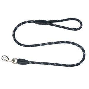 5 Ft Nylon Strong Dog Leash