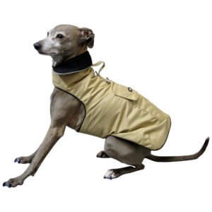 Dog Coat Winter