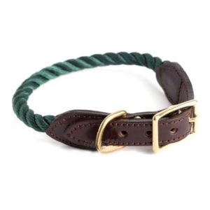 Green Braided Rope Dog Collar