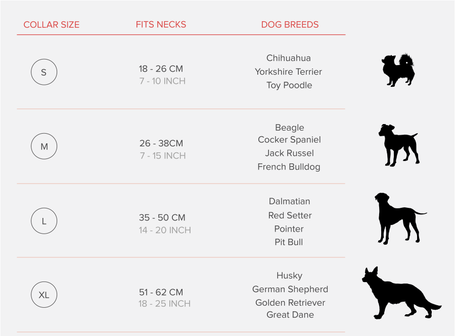 dog collar chart