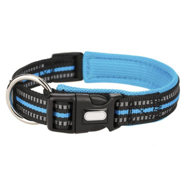 Sky Blue Black Padded Dog Collars