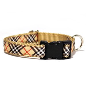 Custom Beautiful Nylon Dog Collars