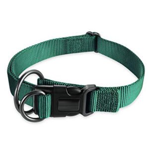 Green Nylon Adjustable Dog Collars