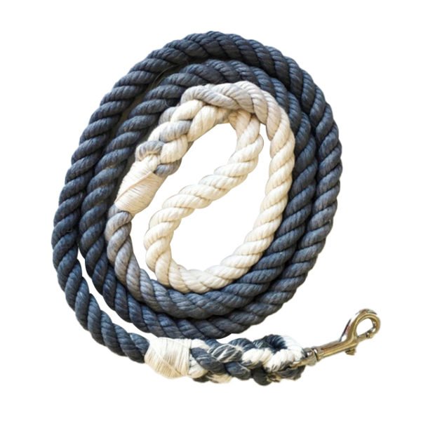 Multi-colored Braided Ombre Cotton Rope Dog Leash