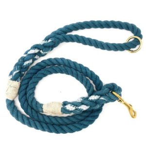 Blue Ray Cotton Ombre Leash For Dogs & Puppies
