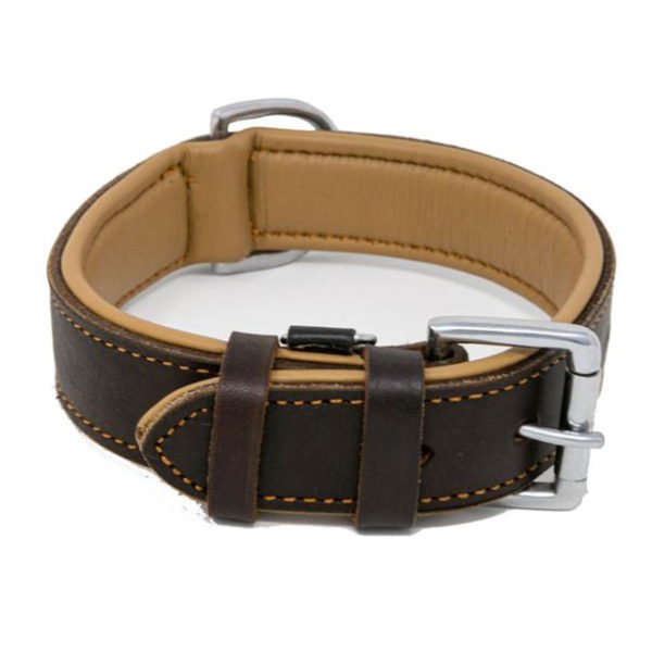 Black Leather Walking Dog & Puppy Collars