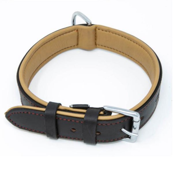 Black Leather Walking Dog & Puppy Collars