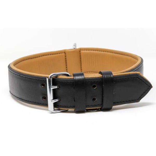 Black Leather Walking Dog & Puppy Collars