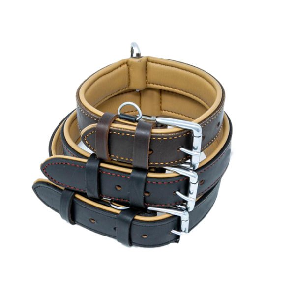 Black Leather Walking Dog & Puppy Collars