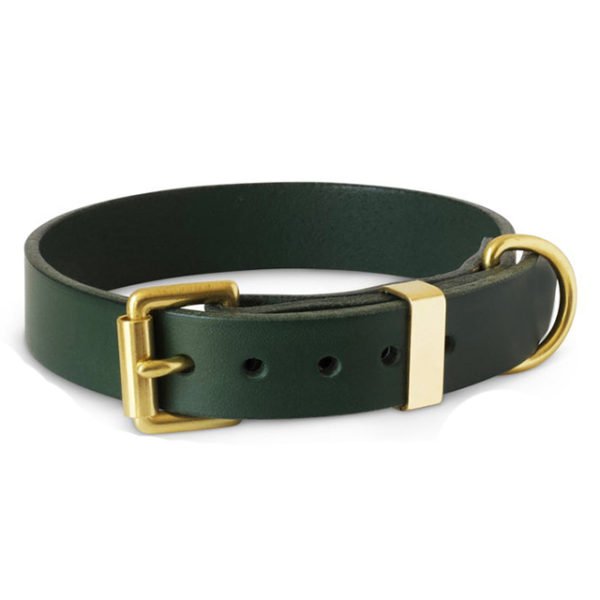 Dark Green Leather Dog Collar Engraved Dog Collar With Brass Hardware