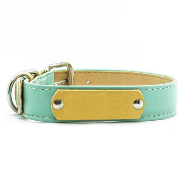 Light Blue Slim Leather Dog Collar & Leash Set With Name Plate