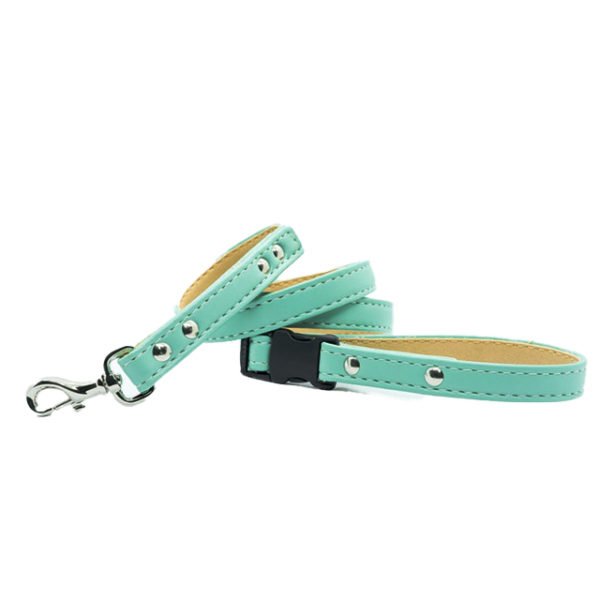 Light Blue Slim Leather Dog Collar & Leash Set With Name Plate
