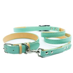 Light Blue Slim Leather Dog Collar & Leash Set With Name Plate