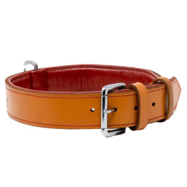 Golden Brown Leather Dog Collar Manufacturer