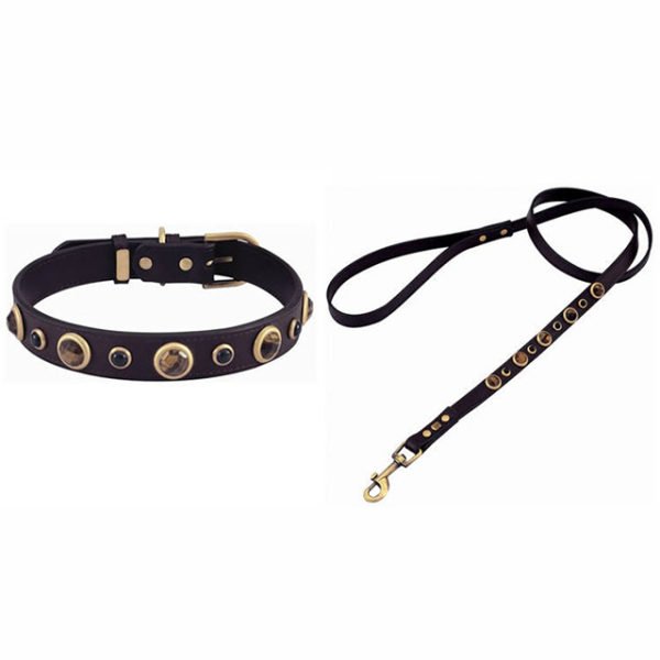 Jewelry Engraved Black Leather Dog Collar & Leash