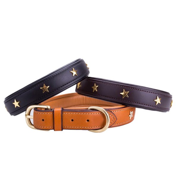 Decorative Star Collar For Dogs Brown Black
