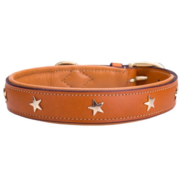 Decorative Star Collar For Dogs Brown Black