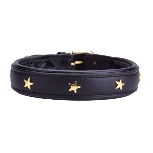 Decorative Star Collar For Dogs Brown Black