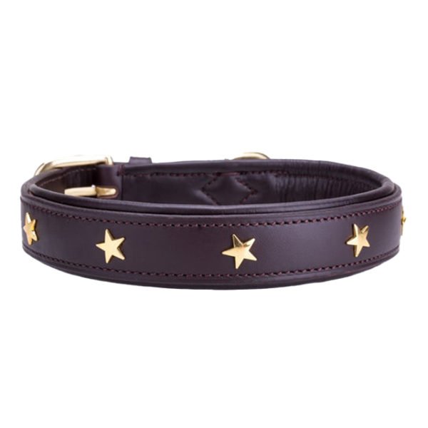 Decorative Star Collar For Dogs Brown Black