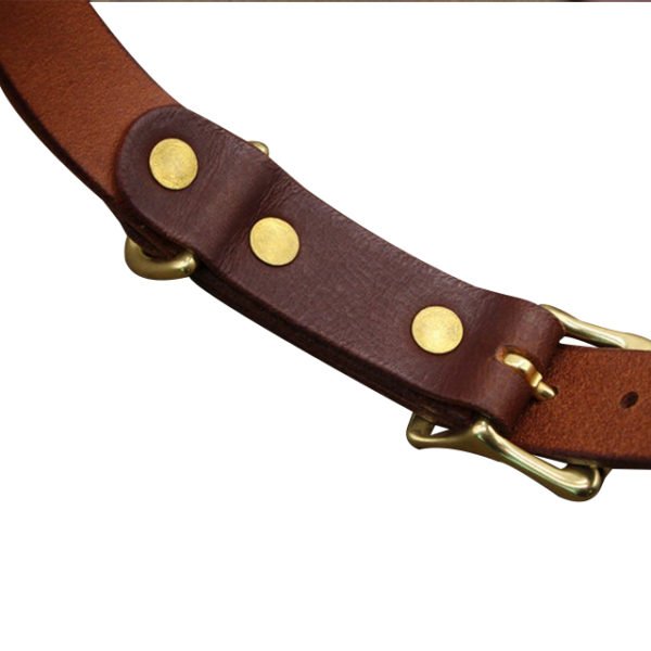 Plain Strong Leather Dog Collar