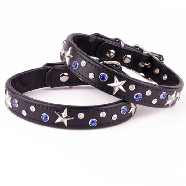 Beautiful Leather Dog Collar With Brass Stars