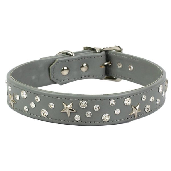 Beautiful Leather Dog Collar With Brass Stars