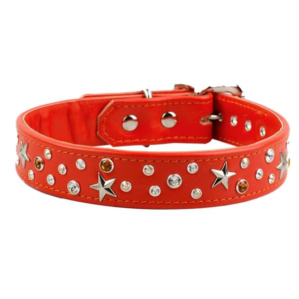 Beautiful Leather Dog Collar With Brass Stars