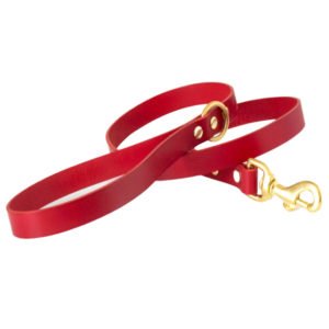 Classic Red Leather Dog Collar Leash Set Brass Hardware