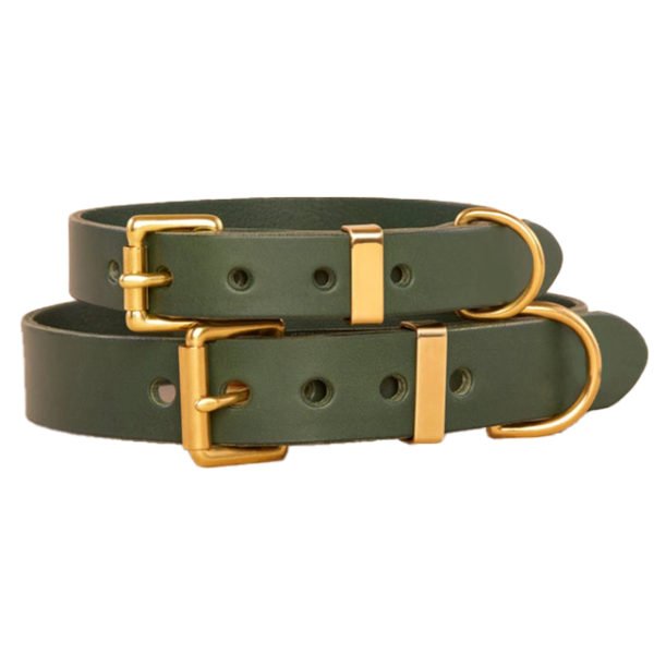 Dark Green Leather Dog Collar Engraved Dog Collar With Brass Hardware