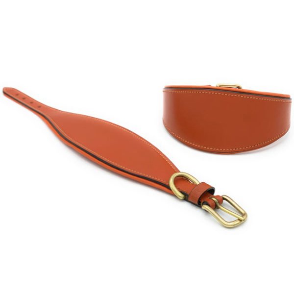 Beautifully Made Leather Padded Dog Collar