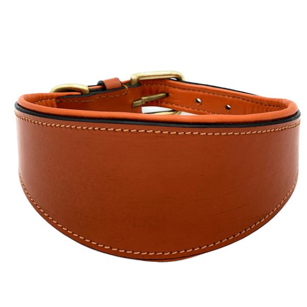 Beautifully Made Leather Padded Dog Collar