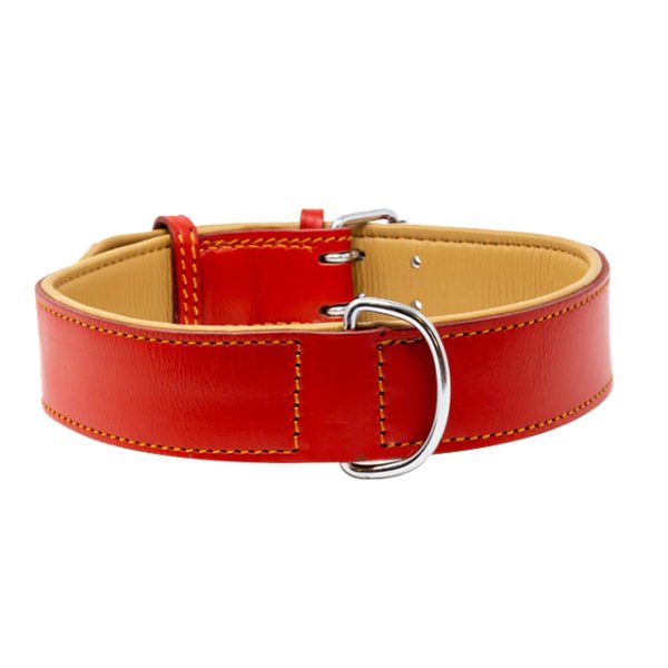 Heavy Duty Luxury Red Dog Collar