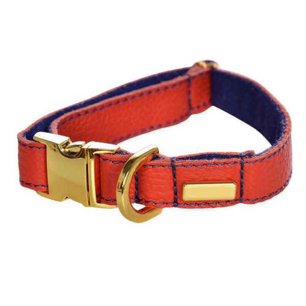 Orange Leather Collar With Name Plate