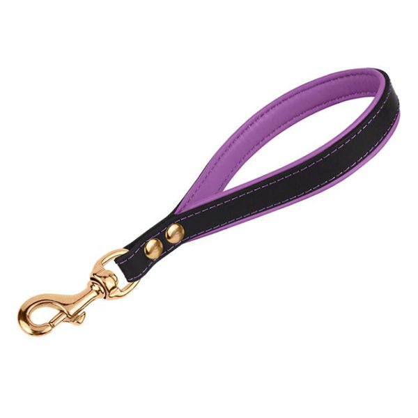 Customized Color Short Dog Leather Leash