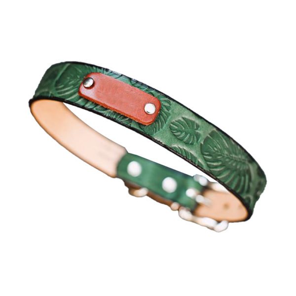 Monstera Palm Leaves Green Leather Dog Collar With ID Nameplate