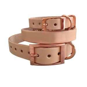 Rose Gold Copper Buckle Leather Dog Collar