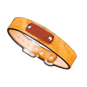 Honey Bee Honeycomb ID Nameplate Leather Dog Collar