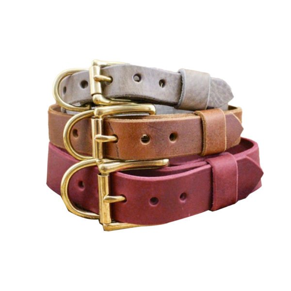 Brown Leather Brass or Nickel Buckle Leather Dog Collar