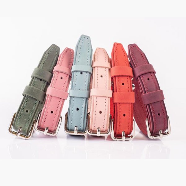 Colorful Leather Dog Collar Manufacturer