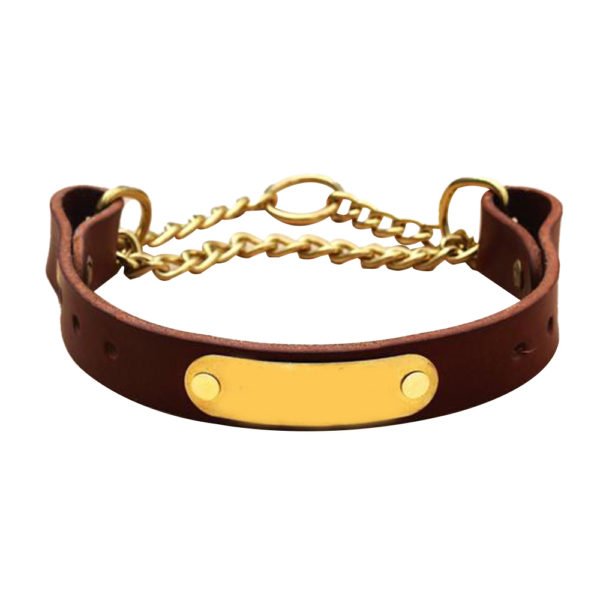 Classic Brown Leather Martingale Dog Collar